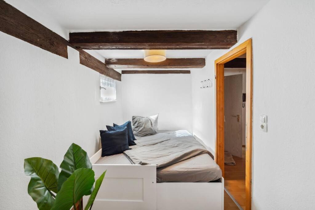 Zentrales, Rustikales Apartment Lauf an der Pegnitz Extérieur photo