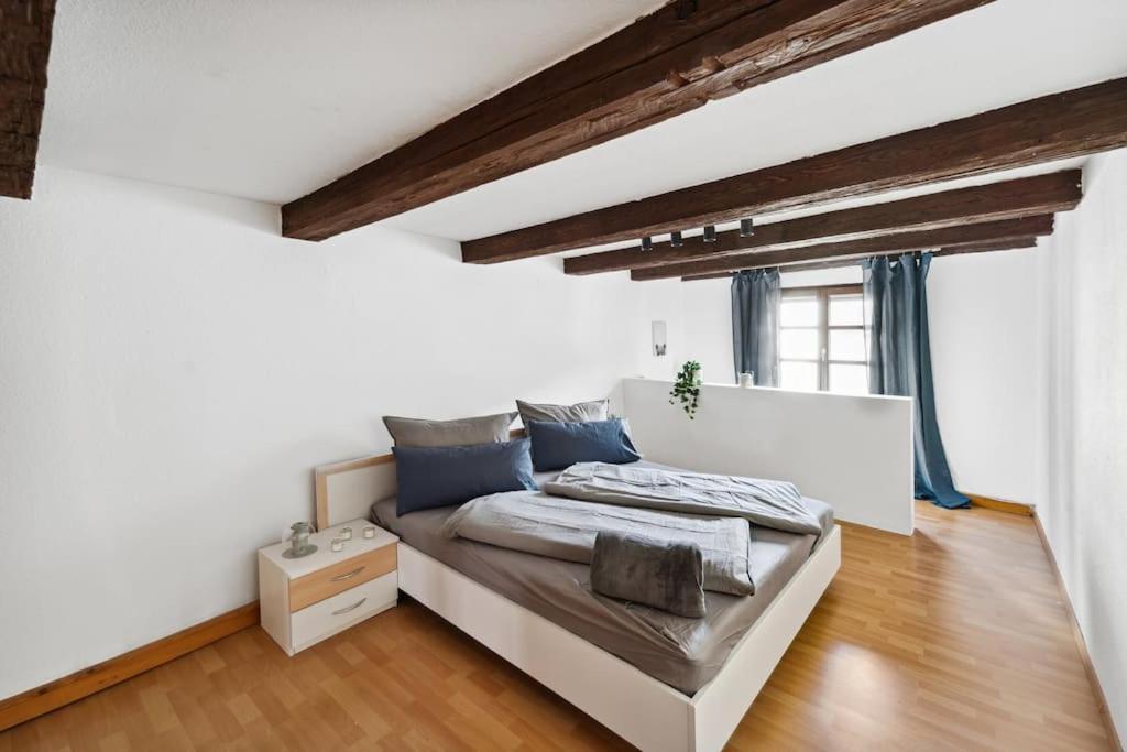 Zentrales, Rustikales Apartment Lauf an der Pegnitz Extérieur photo